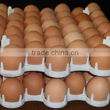 Bangchi 42-cell Plastic Chicken Egg circulating tray