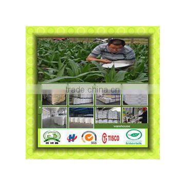 New Type of High Efficient Compound Fertilizer Cailcium Ammonium Nitrate