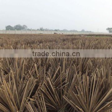 Best supplier of natural bamboo sticks to Indian traders(micha@exporttop.com )