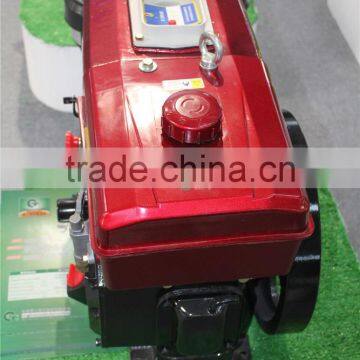 Mini Diesel Engine for Sale R180 Special Water-cooled Single-cylinder Diesel Engine Use for Ship photo-2