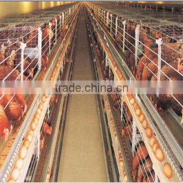 poultry layer cage for sale