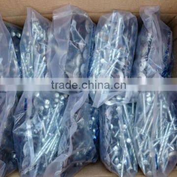 Electro Galvanized 2.5 Inch Screw Shank Twisted Roofing Nail photo-5