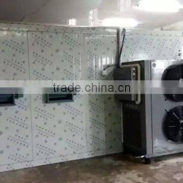 Ginger Heat Pump Dehydrator photo-5