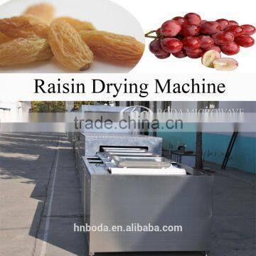Raisin Drying Machine photo-3