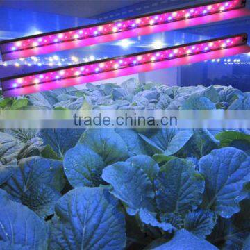 MarsPro MarsII LED Grow Light Bar Strip MarsHydro Waterproof Led Grow Light Bar photo-3