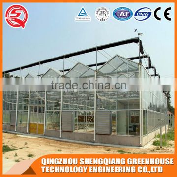 Factory outlet large Multi-span glass agricultural Greenhouses for vegetables,flowers and fruits