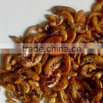 Wholesale Pet Food Freeze Dried Gammarus;Gammarus for Pet Food
