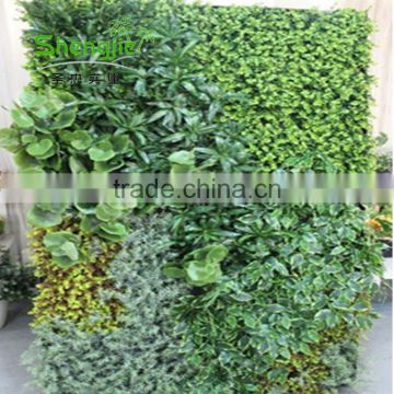 SJLJ013775 Artificial Plant for Wall Decoration Fake Foliage Plant Artificial Green Wall photo-3