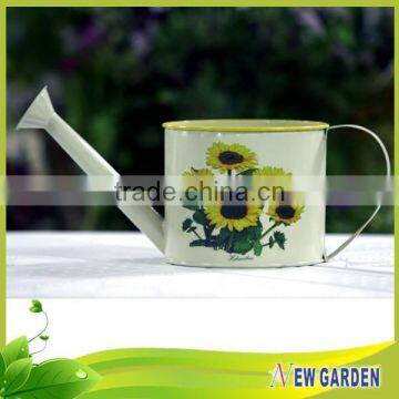 Alibaba wholesale Garden Decorative cheapest price metal watering can