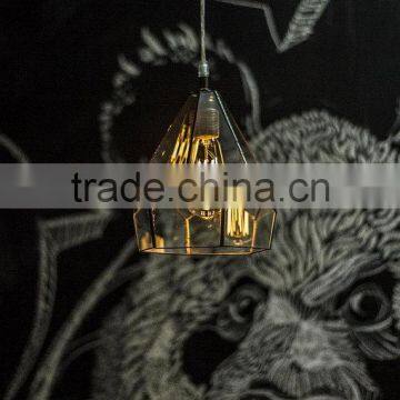 Edison Bulb Clear Simple Lamp Glass Terrarium photo-3