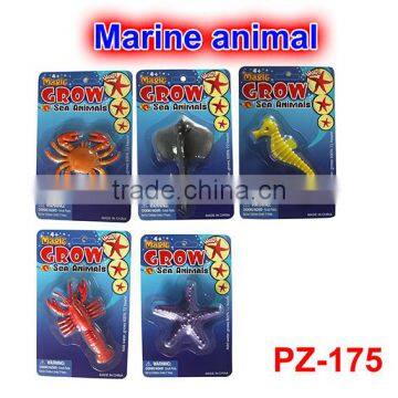 Magic Grow Marine Animal Toys