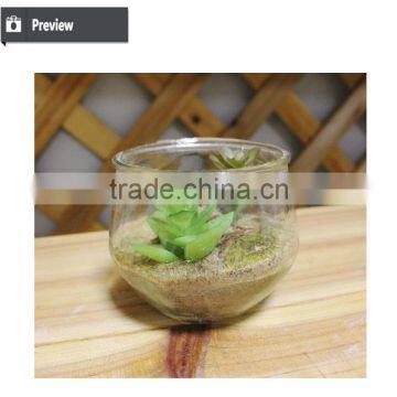 Artificial Table Decoration Small Plants Preserved Plant for Office Decoration Artificial Mini Bonsai Decoration photo-3