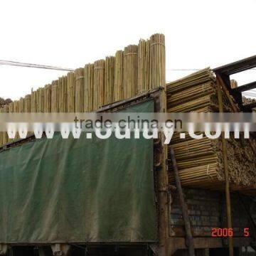 Natural dry bamboo canes for SUPPORTING