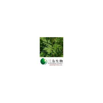 Sweet wormwood P.E.,  98%Artemisinin