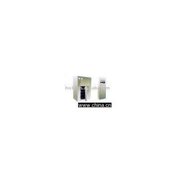 DMH Series Purifying Sterilizing Drying Oven