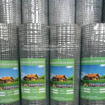 Galvanized Welded Mesh Galvanized Welded Mesh Supplier Wire Mesh Product Manufacturers Custom Plastic Poultry Netting photo-2