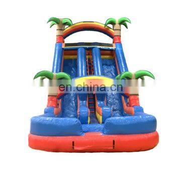 Double Lane Rainbow Palm Tree Water Slides Inflatable Tropical Water Slide For Children photo-2