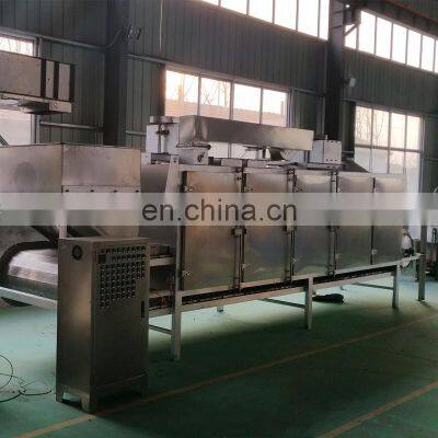 Continuous Automatic Cocoa Chestnut Peanut Cashew Nut Roasting Machine