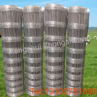 Grassland fence/Field Fence/Galvanized Steel Mesh/ stock fencing wire