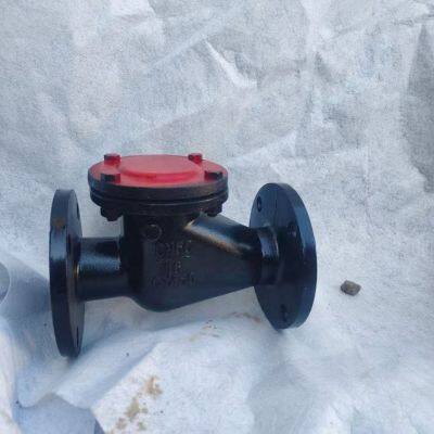 PN16 PN10 Cast Iron Ductile Iron GG25 GGG50 Large Diameter Flange Swing Check Valve Hard Seal Check Valve photo-2