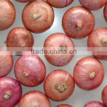 red onion