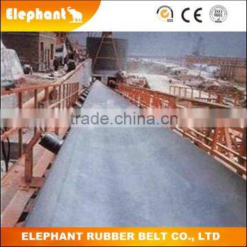 Acid Chemical Resistant Citric Acid Particles Conveyor Belt