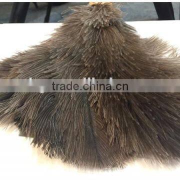 Single Color Feather Duster