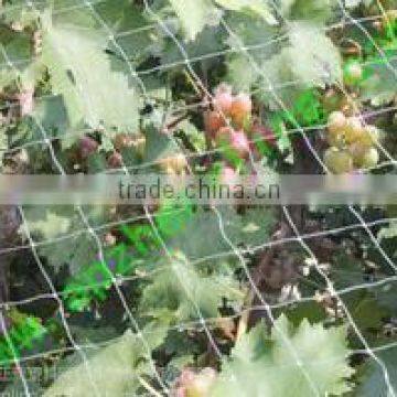 High density PP fruit grape protection net/anti bird net