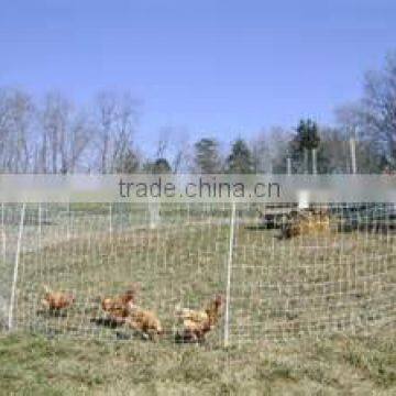 Factory Price Plastic Poultry Netting/Animal Fence photo-2