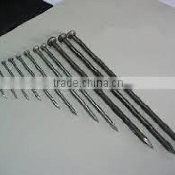 Common Nail Iron Nail