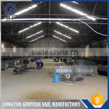 Cheap Wholesale Common Nail Concrete Nails/ Common Nail for Construction Quality Choice photo-5