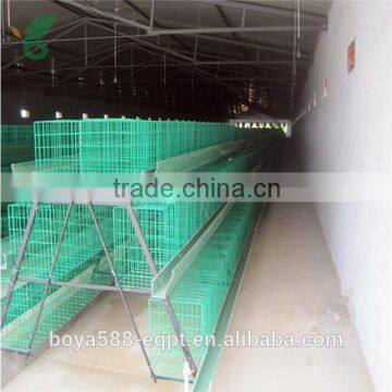 Full Automatic or Semi Automatic Layer Rearing Cages for Pullets photo-2