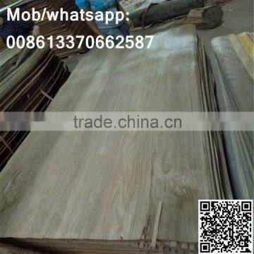 rotary cut red wood or water gum veneer for India market