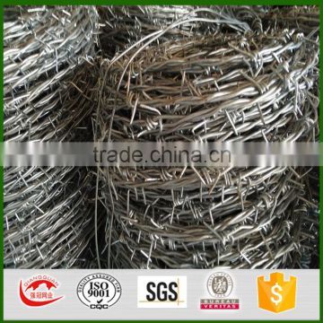 electro galvanized barbed wire for sales