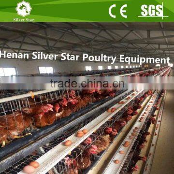 Poultry Farm Chicken Cage/wire Mesh Chicken Coop for Egg Layers /chicken Wire Mesh Cage photo-3