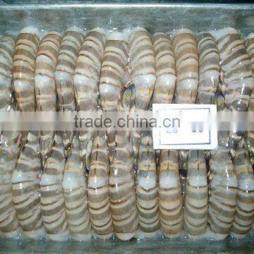 Zhoushan Ship Frozen Marsupenaeus Japonicus (shrimp Kind) photo-5