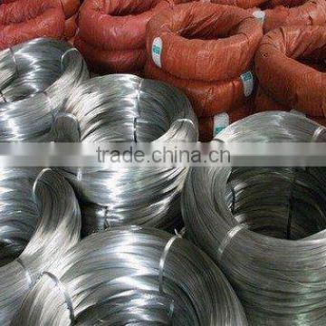 Galvanized Steel Wire(glory03@tus.cc)