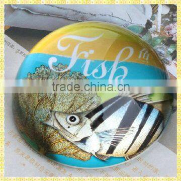 High Quality Glass Dom Fish Paperweight For Home Decoration