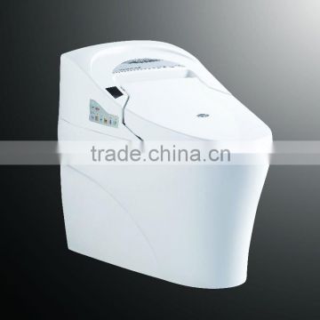 Intelligentize Electric Toilet DI735A