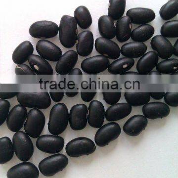 Black Kidney Bean/black turtle bean/black bean( 2010 crop, hps, grade 1. heilongjiang origin)