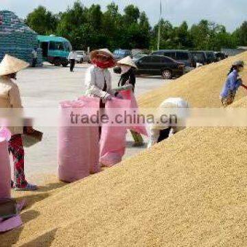 VIETNAM WHITE RICE LONG GRAIN 15% BROKEN photo-3