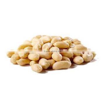 Best Quality Java Bold Peanut new crop round peanut count 38/42 50/60 60/70