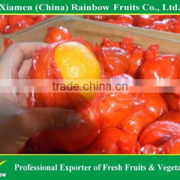 Fresh Chinese Citrus Mandarin orange item for hot sell