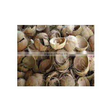 Tamilnadu Coconut Shell