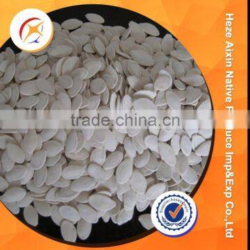 Snow Pure White Pumpkin Seeds