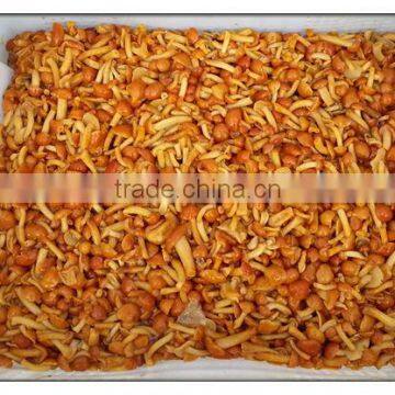 brined nameko