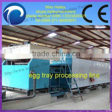 Recycling Waste Paper Fruit Tray Machine 0086-13503826925