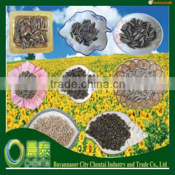 2013 New Products sunflower seeds for hunman consumption