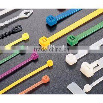 800*10mm Nylon Cable Tie