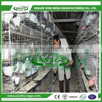 high quality and good price pigeon cage